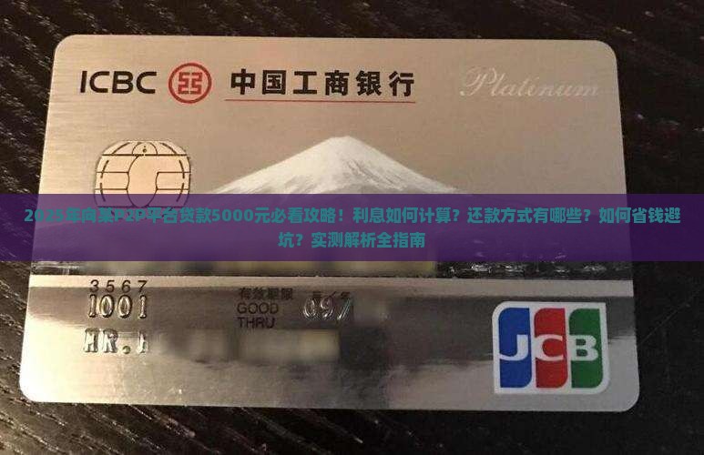 向某p2p平台贷款5000元