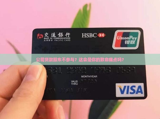 公司贷款股东不参与