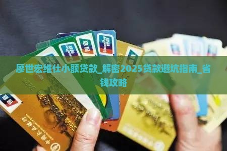 廖世宏维仕小额贷款 廖世宏维仕小额贷款