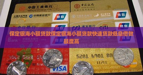 保定银海小额贷款