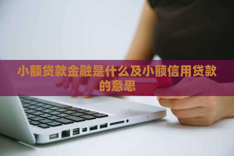 小额贷款普惠