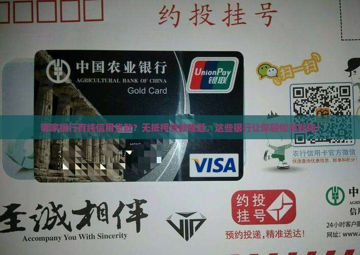 哪家银行有纯信用贷款