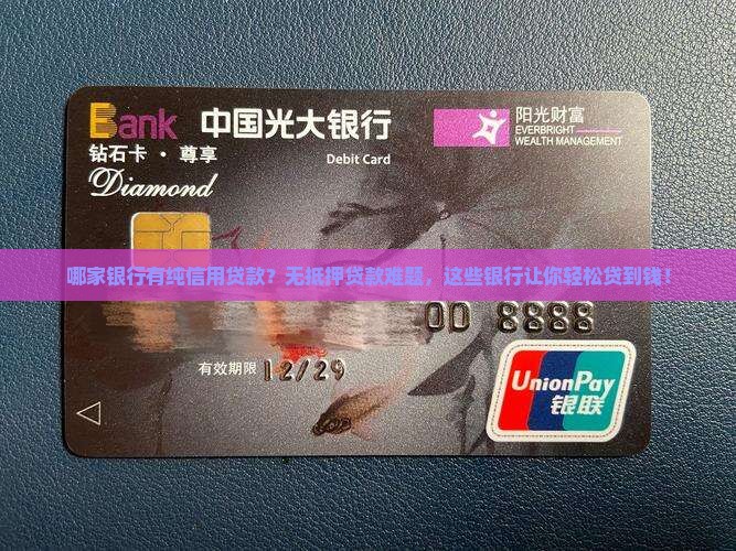 哪家银行有纯信用贷款