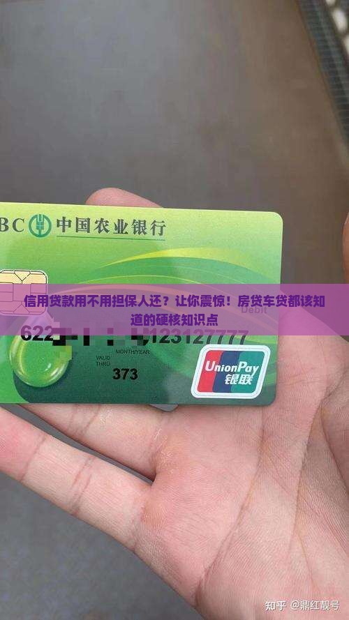 信用贷款用不用担保人还