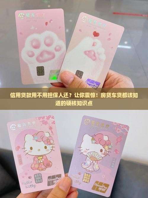 信用贷款用不用担保人还
