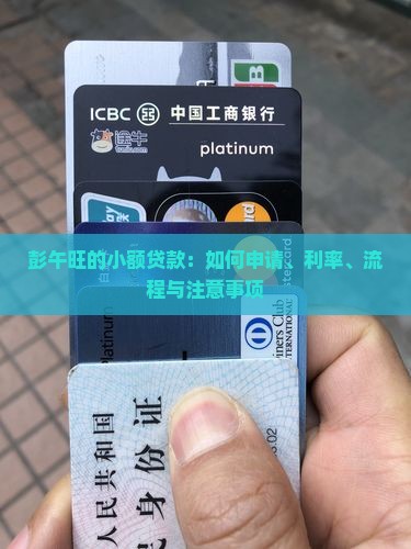 彭午旺的小额贷款
