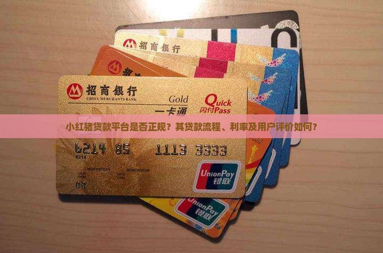 小红猪贷款平台是否正规？其贷款流程、利率及用户评价如何？
