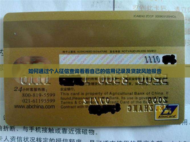 如何通过个人征信查询看看自己的信用记录及贷款风险报告