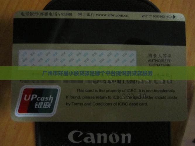 广州市好屋小额贷款是哪个平台提供的贷款服务