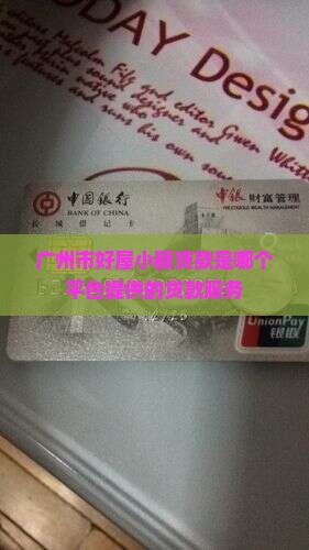 广州市好屋小额贷款是哪个平台提供的贷款服务