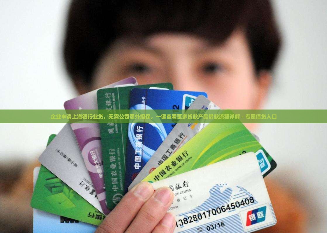 企业申请上海银行业贷，无需公司额外担保，一键查看更多贷款产品借款流程详解 - 专属借贷入口