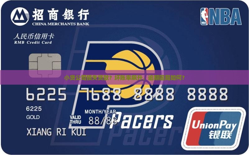 小贷公司损失贷款？坏账率飙升，逾期困局如何？