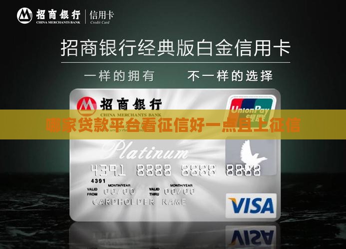 哪家贷款平台看征信好一点且上征信