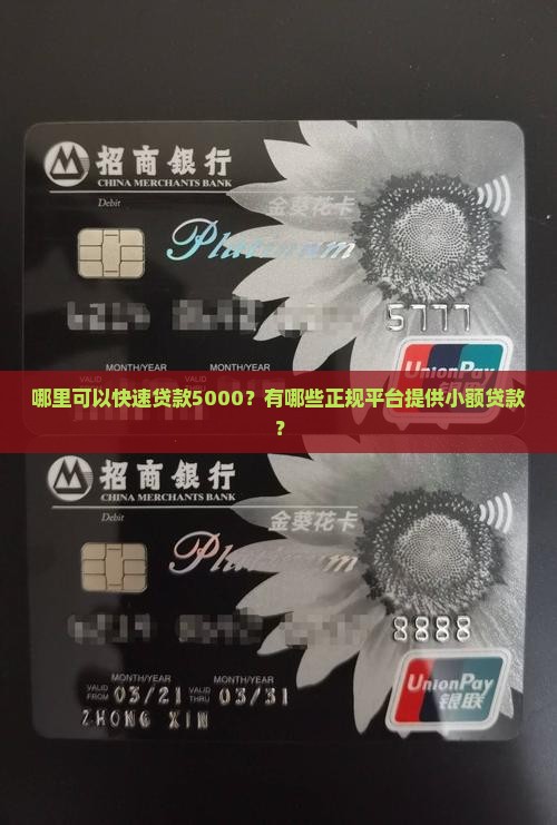哪里可以快速贷款5000？有哪些正规平台提供小额贷款？