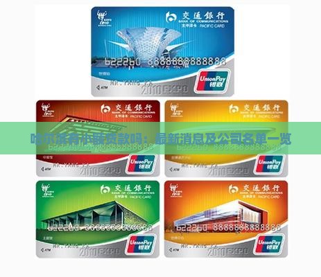 哈尔滨有小额贷款吗：最新消息及公司名单一览