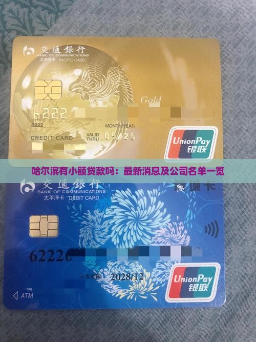 哈尔滨有小额贷款吗：最新消息及公司名单一览