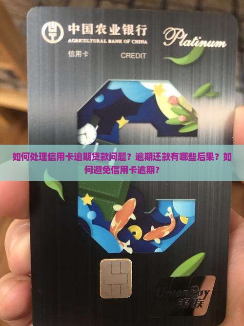 如何处理信用卡逾期贷款问题？逾期还款有哪些后果？如何避免信用卡逾期？