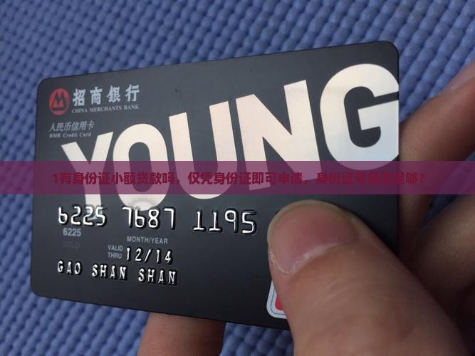 1有身份证小额贷款吗，仅凭身份证即可申请，身份证号是否足够？