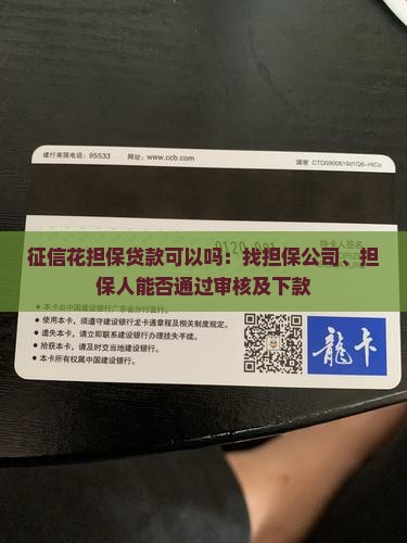 征信花担保贷款可以吗：找担保公司、担保人能否通过审核及下款