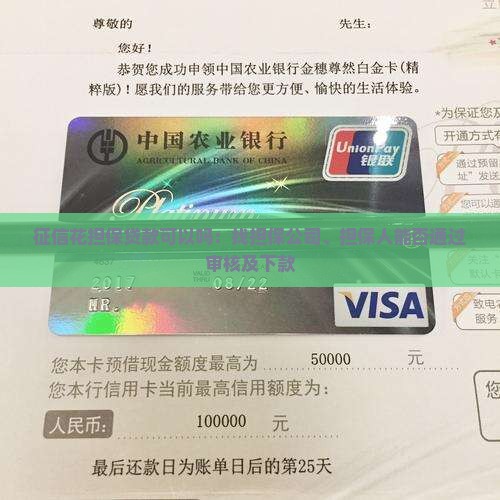 征信花担保贷款可以吗：找担保公司、担保人能否通过审核及下款