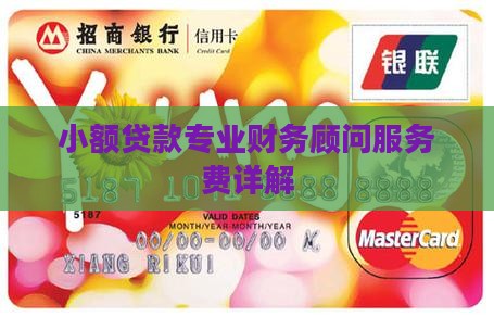 小额贷款专业财务顾问服务费详解