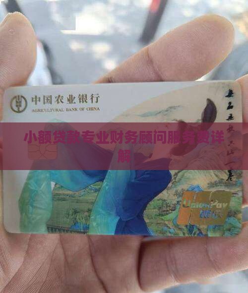 小额贷款专业财务顾问服务费详解