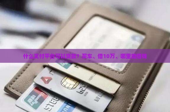 什么支付平台可以贷款？买车、借10万、哪里能借钱