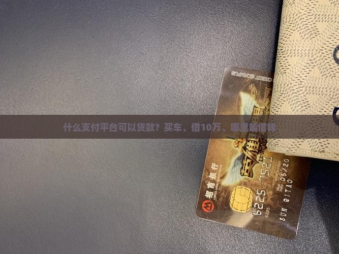 什么支付平台可以贷款？买车、借10万、哪里能借钱