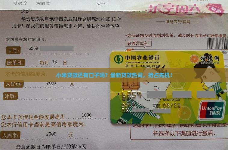 小米贷款还有口子吗？最新贷款热词，抢占先机！