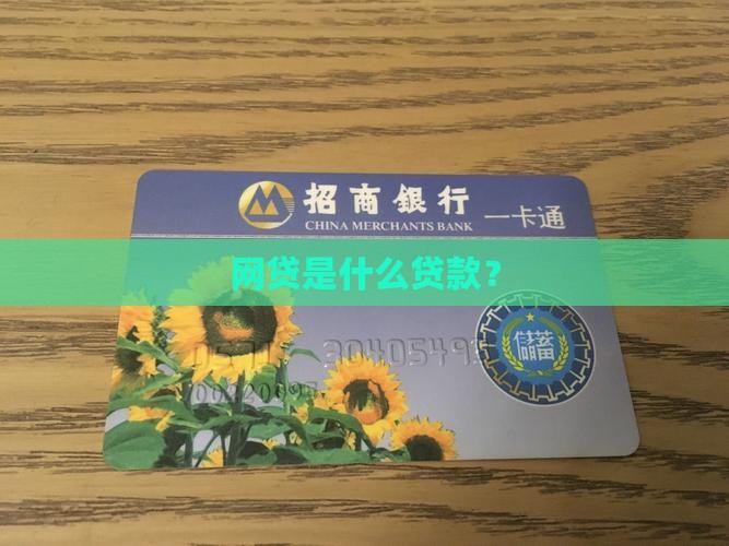 网贷是什么贷款？