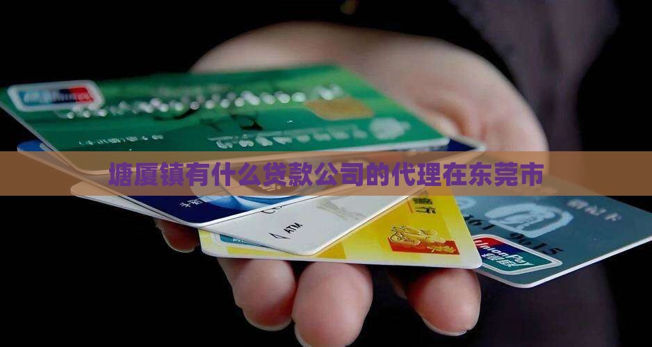 塘厦镇有什么贷款公司的代理在东莞市