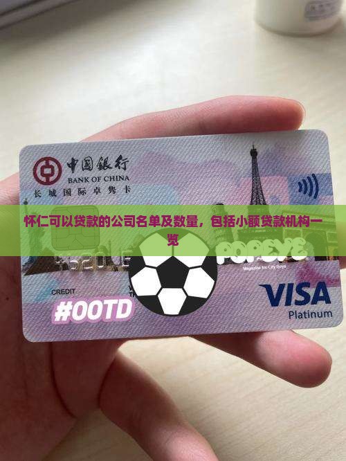 怀仁可以贷款的公司名单及数量，包括小额贷款机构一览