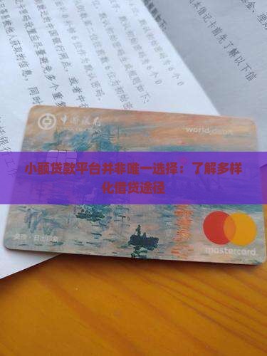 小额贷款平台并非唯一选择：了解多样化借贷途径
