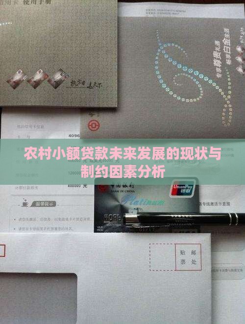 农村小额贷款未来发展的现状与制约因素分析