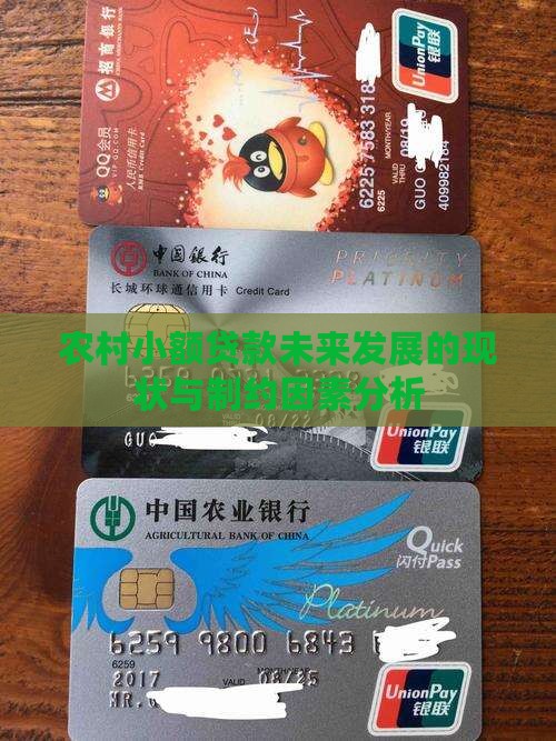 农村小额贷款未来发展的现状与制约因素分析