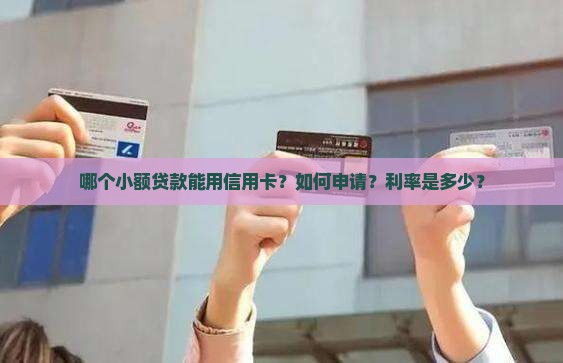 哪个小额贷款能用信用卡？如何申请？利率是多少？