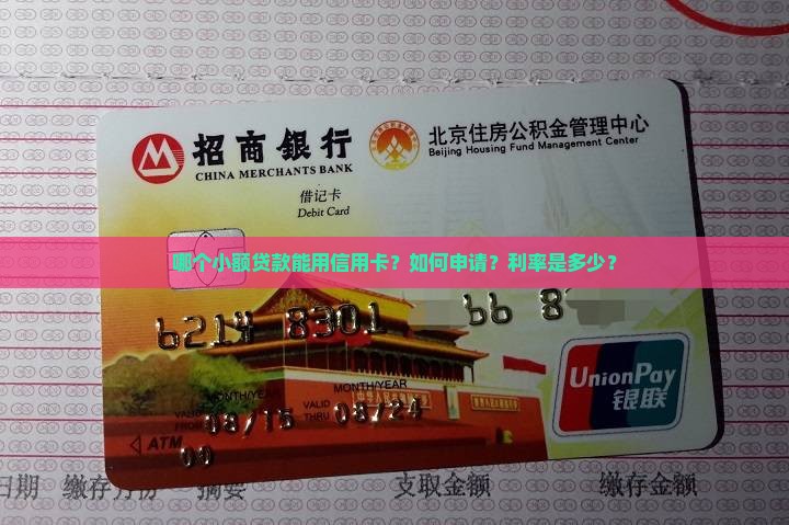 哪个小额贷款能用信用卡？如何申请？利率是多少？