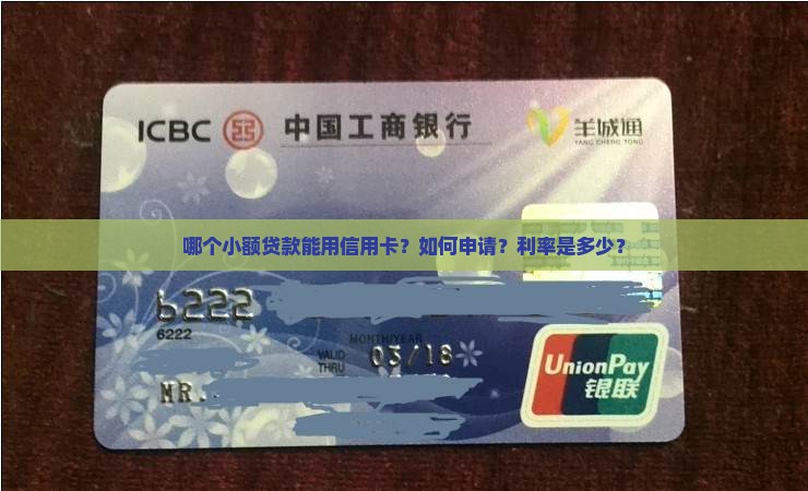 哪个小额贷款能用信用卡？如何申请？利率是多少？