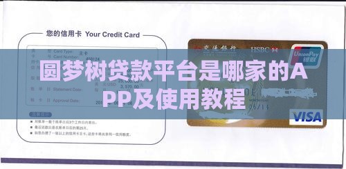 圆梦树贷款平台是哪家的APP及使用教程