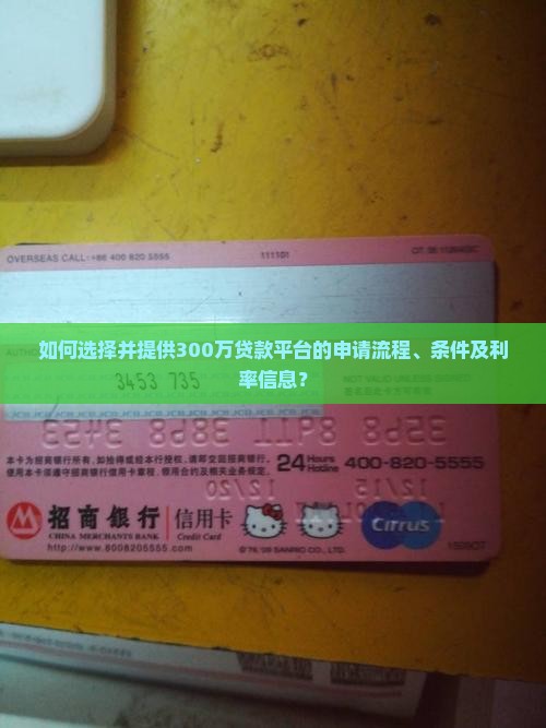 如何选择并提供300万贷款平台的申请流程、条件及利率信息？