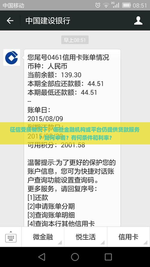 征信受损情况下，哪些金融机构或平台仍提供贷款服务？如何申请？有何条件和利率？