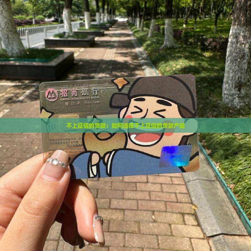 不上征信的贷款：如何选择不上征信的贷款产品