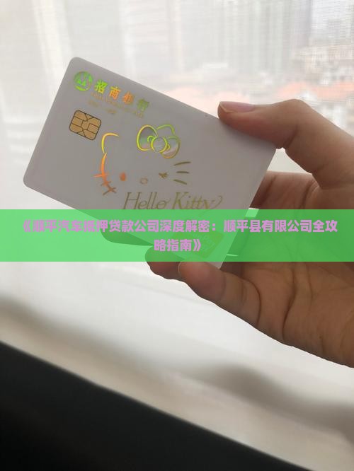 顺平汽车抵押贷款公司