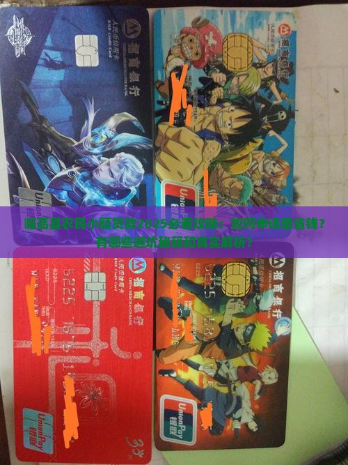 临高县农民小额贷款