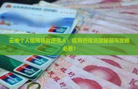 云南个人信用贷款担保人