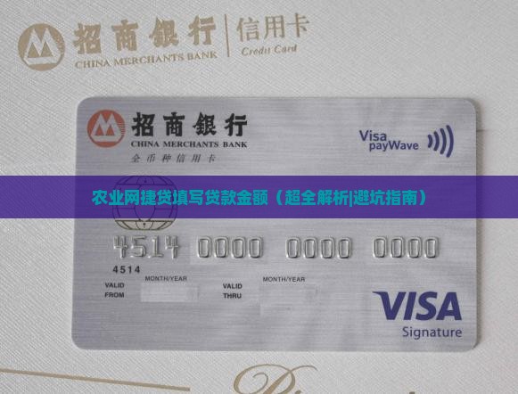 农业网捷贷填写贷款金额