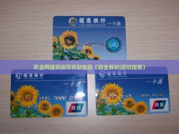 农业网捷贷填写贷款金额
