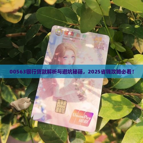 00563银行贷款