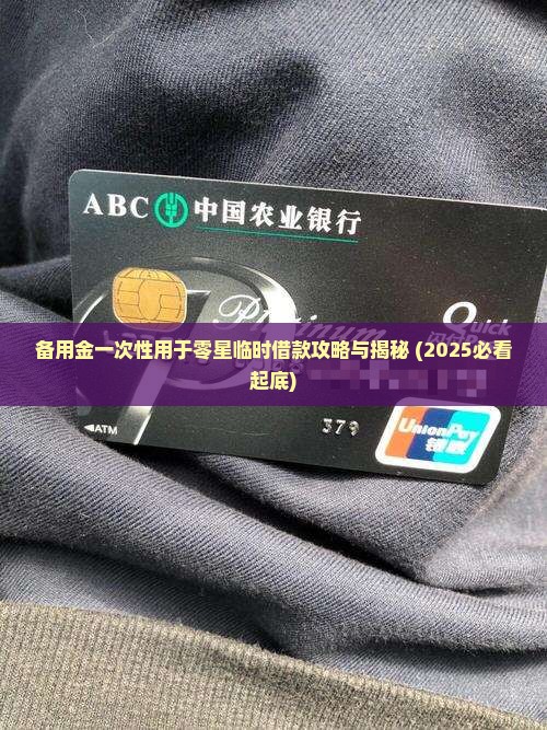 临时贷款备用金