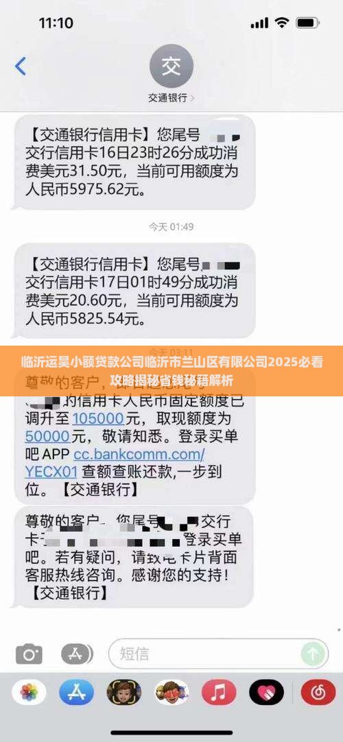 临沂运昊小额贷款